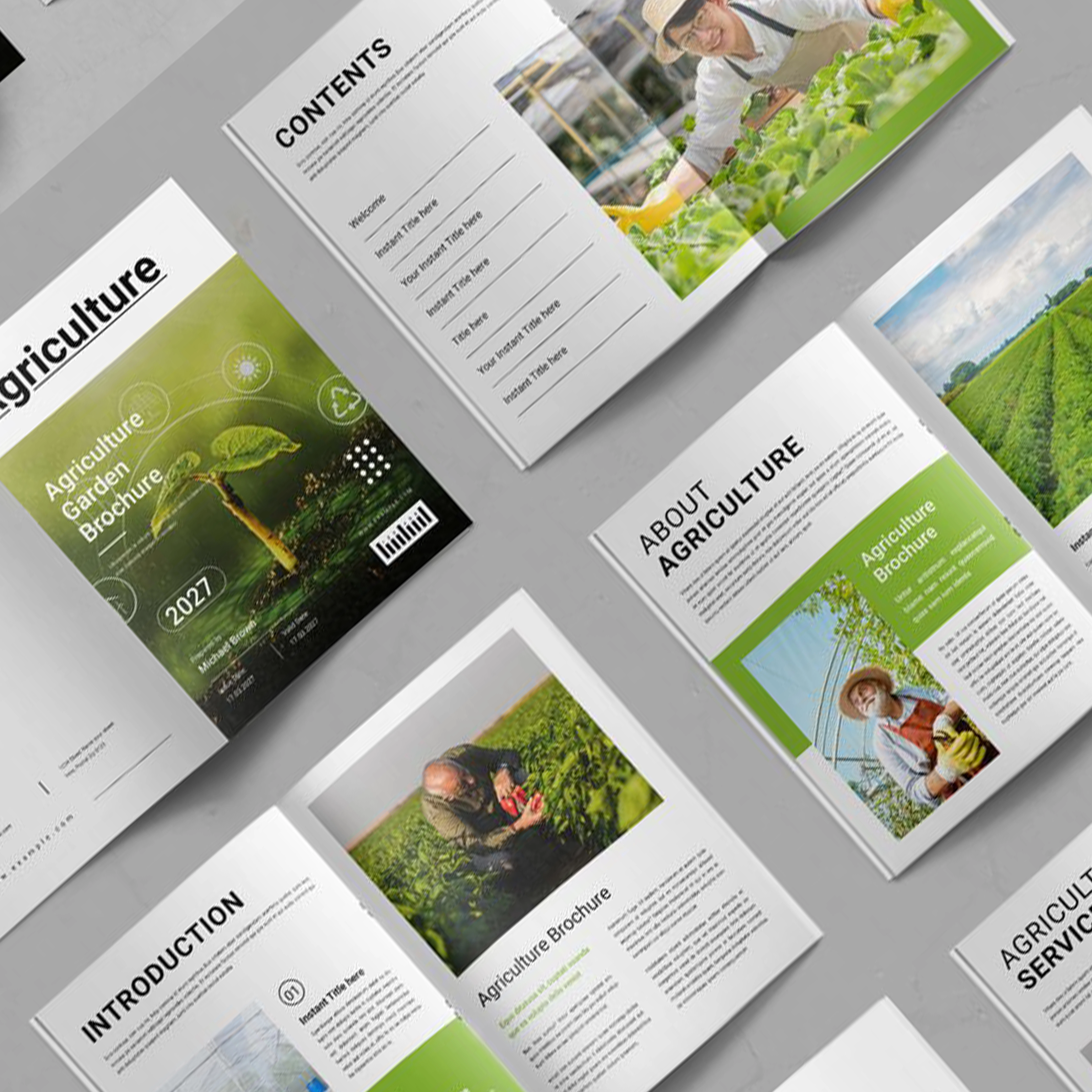 Brochure Design Service